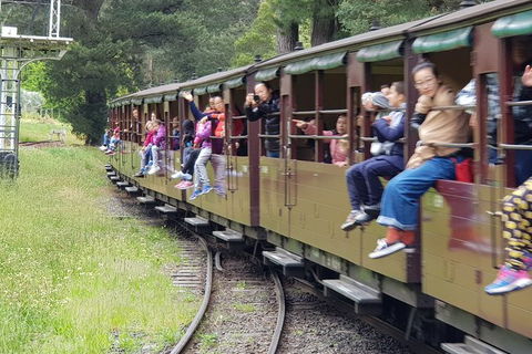 Day Tour Of Yarra Valley Puffing Billy And Rayners Orchard - Accommodation in Bendigo 13