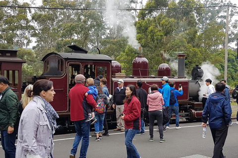 Day Tour Of Yarra Valley Puffing Billy And Rayners Orchard - Accommodation in Bendigo 4