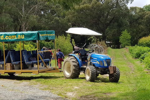 Day Tour Of Yarra Valley Puffing Billy And Rayners Orchard - Accommodation in Bendigo 25