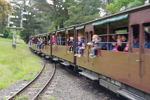 Day Tour Of Yarra Valley Puffing Billy And Rayners Orchard - Accommodation in Bendigo 24