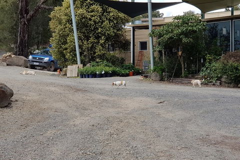 Day Tour Of Yarra Valley Puffing Billy And Rayners Orchard - Accommodation in Bendigo 26