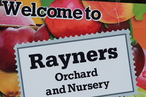 Day Tour Of Yarra Valley Puffing Billy And Rayners Orchard - Accommodation in Bendigo 20