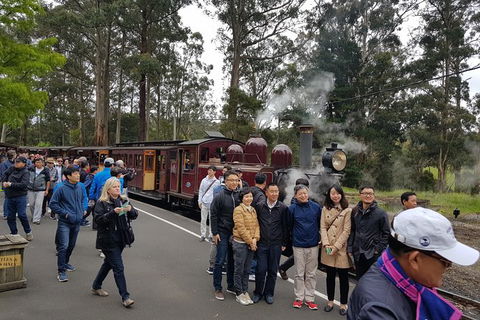 Day Tour Of Yarra Valley Puffing Billy And Rayners Orchard - Accommodation in Bendigo 9