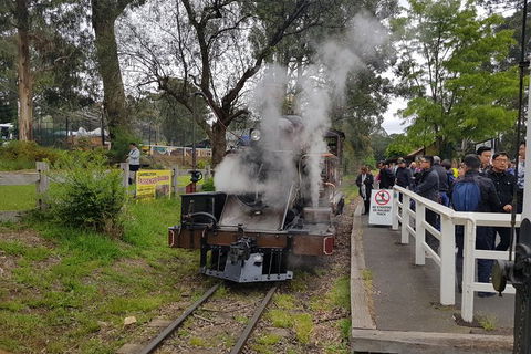 Day Tour Of Yarra Valley Puffing Billy And Rayners Orchard - Accommodation in Bendigo 43