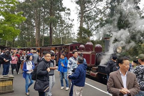Day Tour Of Yarra Valley Puffing Billy And Rayners Orchard - Accommodation in Bendigo 12