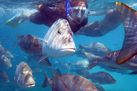 Coral Bay 2-Hour Coral Viewing And Snorkeling - Accommodation in Bendigo 0