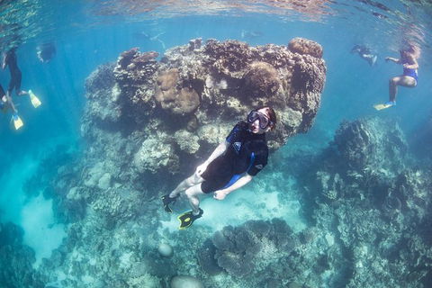 Coral Bay 2-Hour Coral Viewing And Snorkeling - Accommodation in Bendigo 3