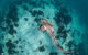 Whale Shark Adventure Tour - thumb 3