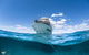 Whale Shark Adventure Tour - thumb 10