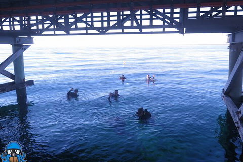 PADI Open Water Course - Accommodation in Bendigo 3