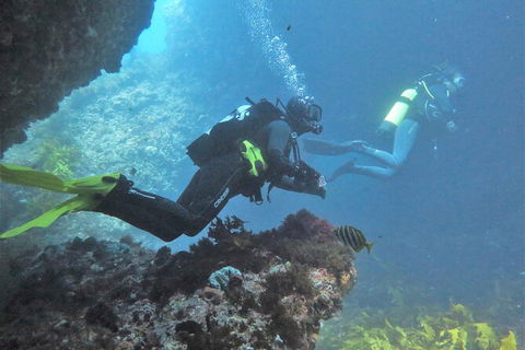 PADI Open Water Course - Accommodation in Bendigo 2