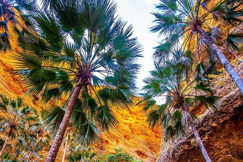 Bungles Day Trek Extended (with Echidna Chasm) - Accommodation in Bendigo 1