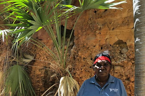 Bungles Day Trek Extended (with Echidna Chasm) - Accommodation in Bendigo 2