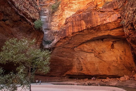 Bungles Day Trek Extended (with Echidna Chasm) - Accommodation in Bendigo 0