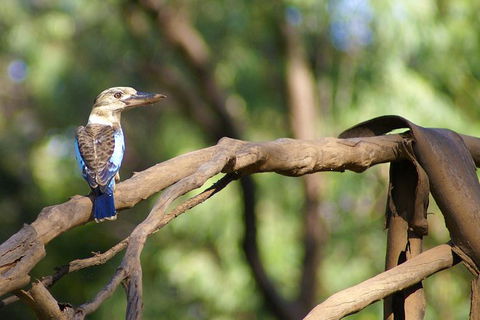 Ord River Experience With Riverside Lunch - Accommodation in Bendigo 1