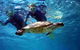 Full-Day Whale Sharks Swimming Experience On Ningaloo Reef - thumb 7