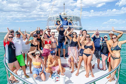 Full-Day Whale Sharks Swimming Experience On Ningaloo Reef - Accommodation in Bendigo 1