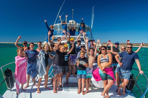Full-Day Whale Sharks Swimming Experience On Ningaloo Reef - Accommodation in Bendigo 15