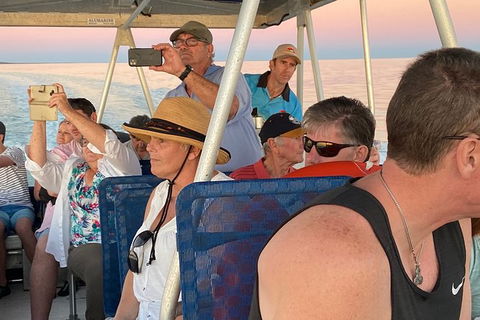 The Island Sandbar Experience - Accommodation in Bendigo 3