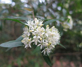 Brundee NSW Accommodation in Bendigo