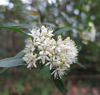 Booderee National Park - Accommodation in Bendigo