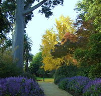 Albury Botanic Garden - Accommodation in Bendigo