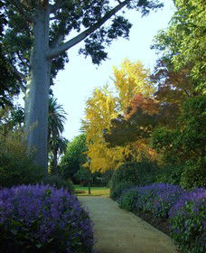 Albury Botanic Garden - Accommodation in Bendigo 0