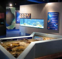 Marine and Freshwater Discovery Centre - Accommodation in Bendigo