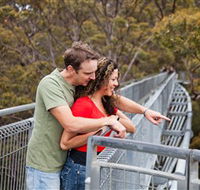 Valley of the Giants Tree Top Walk - Accommodation in Bendigo