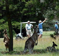 Glen Innes Golf Club - Accommodation in Bendigo