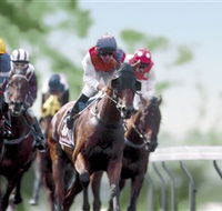 Colac Turf Club - Accommodation in Bendigo