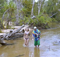 Tjuwaliyn / Douglas Hot Springs Park - Accommodation in Bendigo