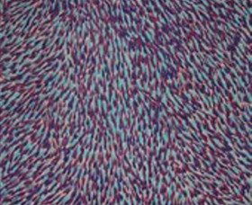  Accommodation in Bendigo