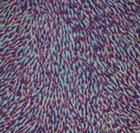 The Gate Gallery - Wollombi - Accommodation in Bendigo