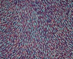 The Gate Gallery - Wollombi - Accommodation in Bendigo 0