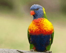 Booderee National Park - Accommodation in Bendigo 1