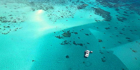 Ocean Free & Ocean Freedom - Cairns Premier Reef And Island Tours - Accommodation in Bendigo 3