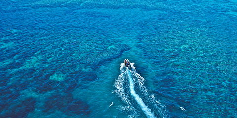 Ocean Free & Ocean Freedom - Cairns Premier Reef And Island Tours - Accommodation in Bendigo 4