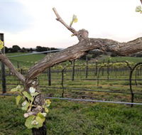 Nalbra Estate Wines - Accommodation in Bendigo