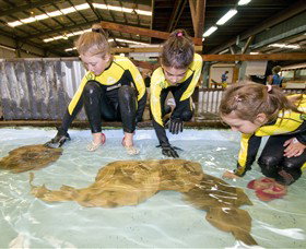 Dandenong South VIC Accommodation in Bendigo