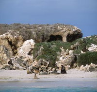 Jurien Bay Marine Park - Accommodation in Bendigo