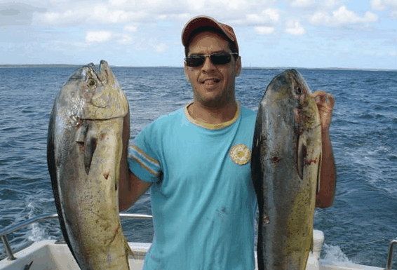 Jervis Bay Fishing and Charters - Accommodation in Bendigo