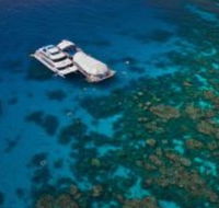 Great Adventures Reef and Green Island Cruises - Accommodation in Bendigo