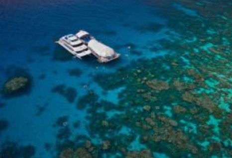 Great Adventures Reef And Green Island Cruises - Accommodation in Bendigo 0