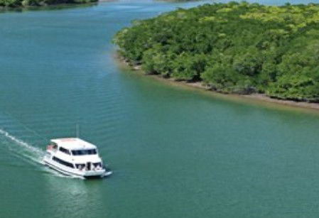 Cairns Harbour Cruises - Accommodation in Bendigo 3