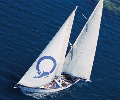Ocean Free & Ocean Freedom - Cairns Premier Reef And Island Tours - Accommodation in Bendigo 0