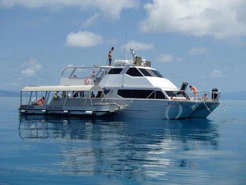 Ocean Free & Ocean Freedom - Cairns Premier Reef And Island Tours - Accommodation in Bendigo 1