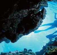 Deep Sea Divers Den - Accommodation in Bendigo