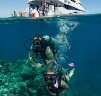 Down Under Cruise and Dive - Accommodation in Bendigo