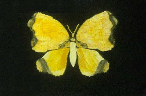 Ashworths - Accommodation in Bendigo